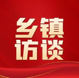 深入学习贯彻党的二十大精神 | 乡镇访谈——上巴河镇党委书记唐琦