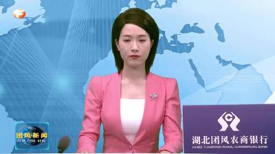 县领导督办基层政务服务体系建设工作
