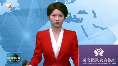 上巴河镇平麓山村：党的二十大精神宣讲进湾组 “声”入群众聚民心