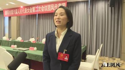 团风代表团热议《市政府工作报告》 