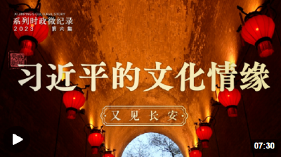 习近平的文化情缘丨又见长安