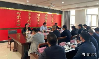 胡凯主持召开县政府与市国投公司对接合作工作部署会