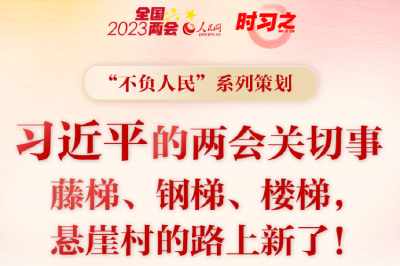 习近平的两会时间｜两会关切事——藤梯、钢梯、楼梯，悬崖村的路上新了！