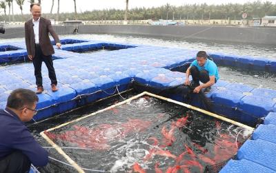 在推进中国式现代化建设中走在前列——习近平总书记广东考察回访