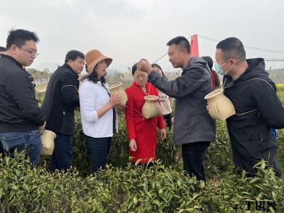 学经验 促发展 团风县学习贯彻党的二十大精神研讨班赴黄梅学习