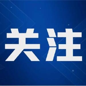 2023年5月湖北省网络举报受理情况