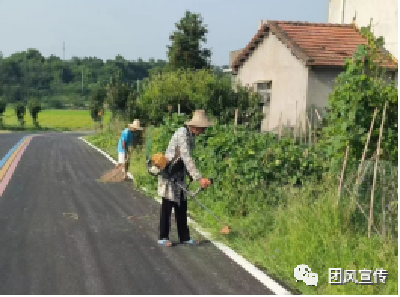 我县扎实有力开展美丽城乡建设行动（一百一十一）