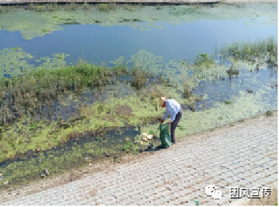 扮靓城乡 | 我县扎实有力开展美丽城乡建设行动（一百二十四）