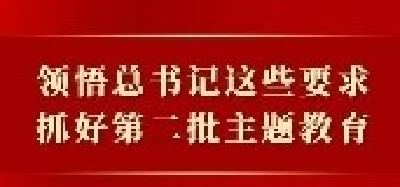 领悟总书记这些要求，抓好第二批主题教育