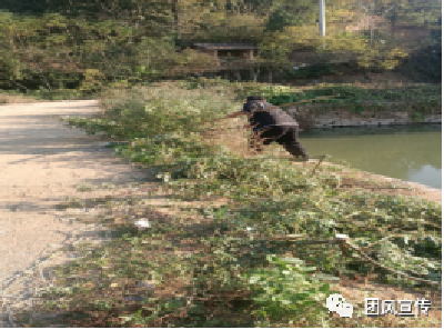 扮靓城乡 | 我县扎实有力开展美丽城乡建设行动（一百七十八）