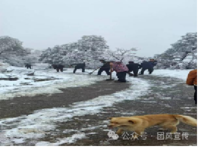 扮靓城乡 | 我县扎实有力开展美丽城乡建设行动（二百五十）