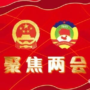 聚焦两会 | 何永红参加县六届人大三次会议团风镇代表团分组讨论