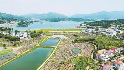 媒体关注 | 治一条河 串一片景 富一方民——团风县牛车河乡村振兴示范区“巨变密码”调查