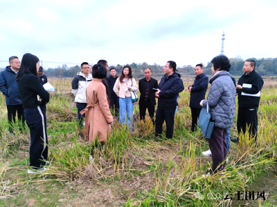 农业农村部来我县开展酸化耕地治理重点县建设及耕地质量监测点运行情况调研