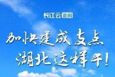 加快建成支点 湖北这样干！
