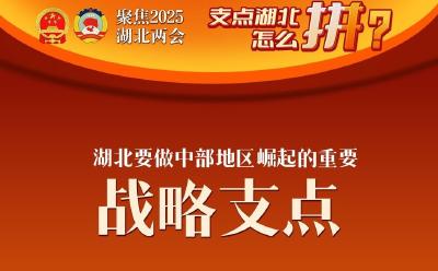 支点湖北，怎么“拼”？