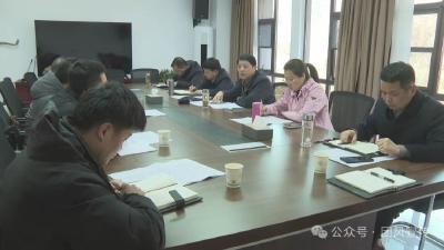 胡凯强调：强力推进大崎山森林公园“五一开园、七一避暑季”重点任务落实落地