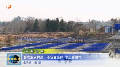 县农业农村局：不负春光好 水上春耕忙