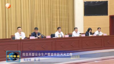 我县再督安全生产暨森林防灭火工作