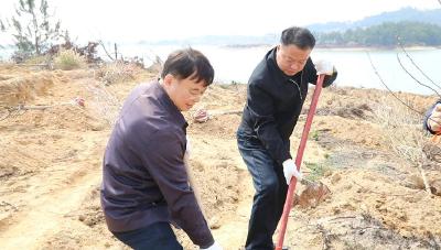 湖北省推动长江经济带发展领导小组办公室副主任常贤波一行来我县开展义务植树活动
