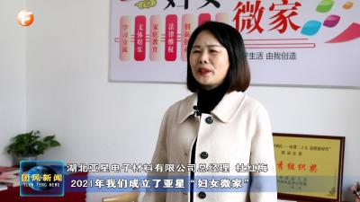 湖北亚星电子材料有限公司总经理杜红梅：企业创新与社会担当并重