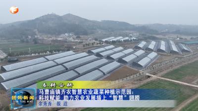 马曹庙镇齐农智慧农业蔬菜种植示范园：科技赋能 助力农业发展插上“智慧”翅膀