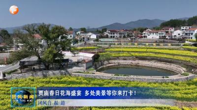 贾庙春日花海盛宴 多处美景等你来打卡！