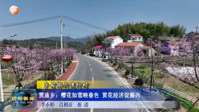 贾庙乡：樱花如雪映春色 赏花经济促振兴