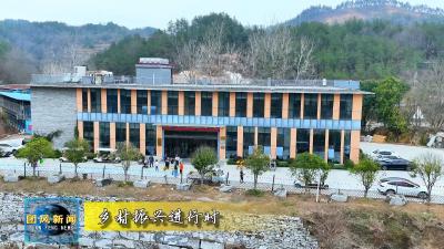 崎山泊里：在青山绿水间书写乡村振兴新篇章