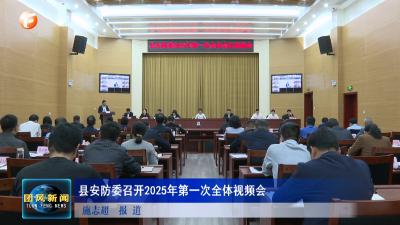 县安防委召开2025年第一次全体视频会