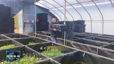漆国和：发展生态养鳝 助力乡村振兴