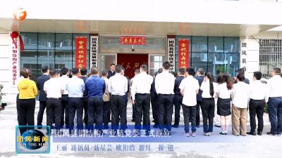 团风县钢结构产业链党委正式成立