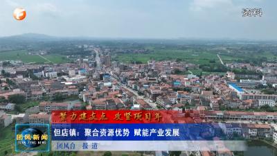 但店镇：聚合资源优势 赋能产业发展