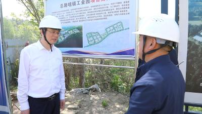 刘君峰到总路咀镇 团风镇调研