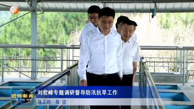 刘君峰专题调研督导防汛抗旱工作