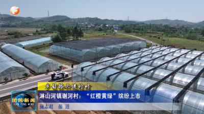 淋山河镇谢河村：“红橙黄绿”缤纷上市