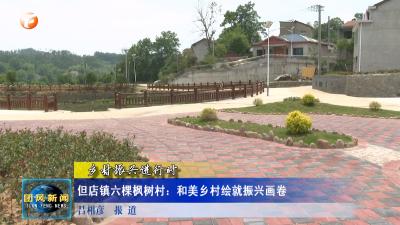 但店镇六棵枫树村：和美乡村绘就振兴画卷