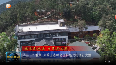 “五一”假期 大崎山森林公园特色民宿预订火爆
