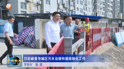 刘君峰督导城区污水治理和道路绿化工作