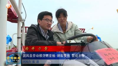 榜样力量 | 团风县劳动模范胡亚楠 耕耘梦想 智绘丰收