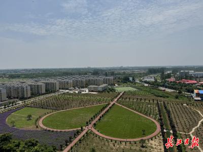 弘扬三大精神 奋力建成支点｜从“空间改造”到“幸福再造”，武汉着力破解“一老一小”难题