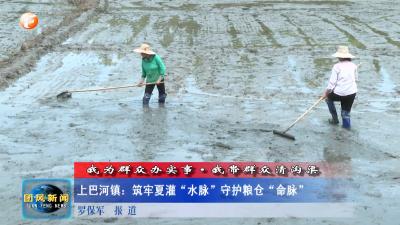 我为群众办实事·我带群众清沟渠  上巴河镇：筑牢夏灌“水脉”守护粮仓“命脉”