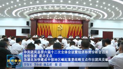 中共团风县委六届十二次全体会议暨经济形势分析会召开