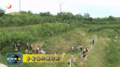 乡村振兴进行时 | 淋山河镇邹冲村：黄桃飘香引客来  采摘乐趣满田园