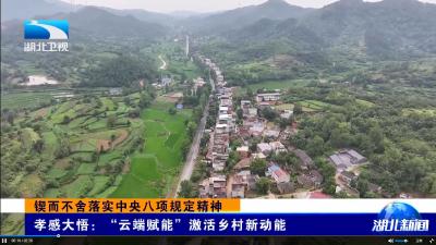 锲而不舍落实中央八项规定精神 | 孝感大悟：“云端赋能”激活乡村新动能