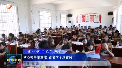 爱心护“未”成长 孝心村中夏意浓 百名学子沐古风