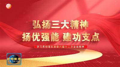 弘扬三大精神 扬优强能 建功支点   但店镇：建功支点 融入全局 争做镇域经济高质量发展排头兵