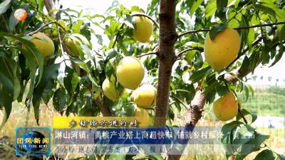 乡村振兴进行时   淋山河镇：黄桃产业搭上商超快车 铺就乡村振兴“黄金路”