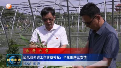 榜样力量  团风县先进工作者胡柏松：半生躬耕三农情