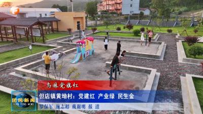 乌林党旗红  但店镇黄坳村：党建红 产业绿 民生金